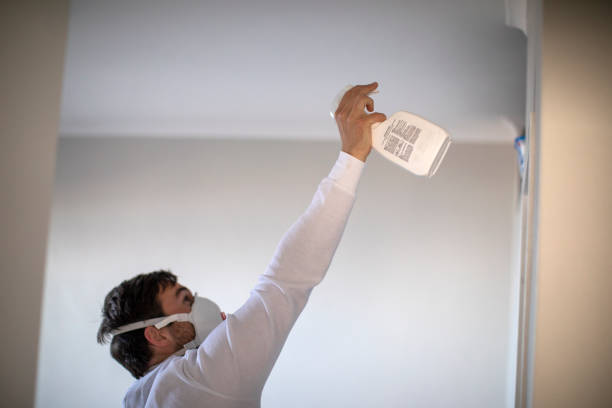 Best Mold Testing  in Elkridge, MD
