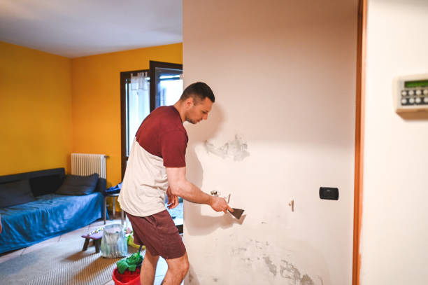 Best Mold Remediation  in Elkridge, MD